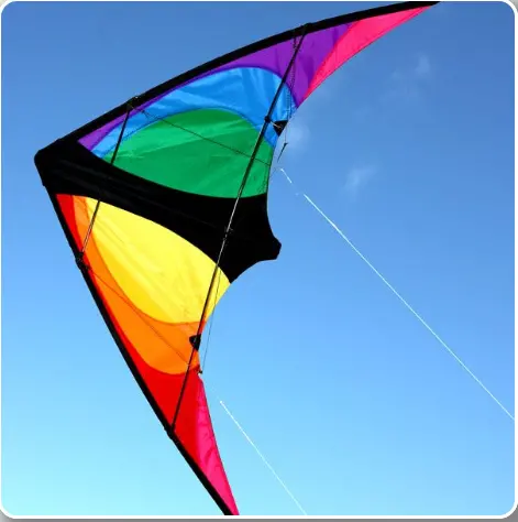 Windspeed Stinger Trick Dual Control Kite - Ws7512 1