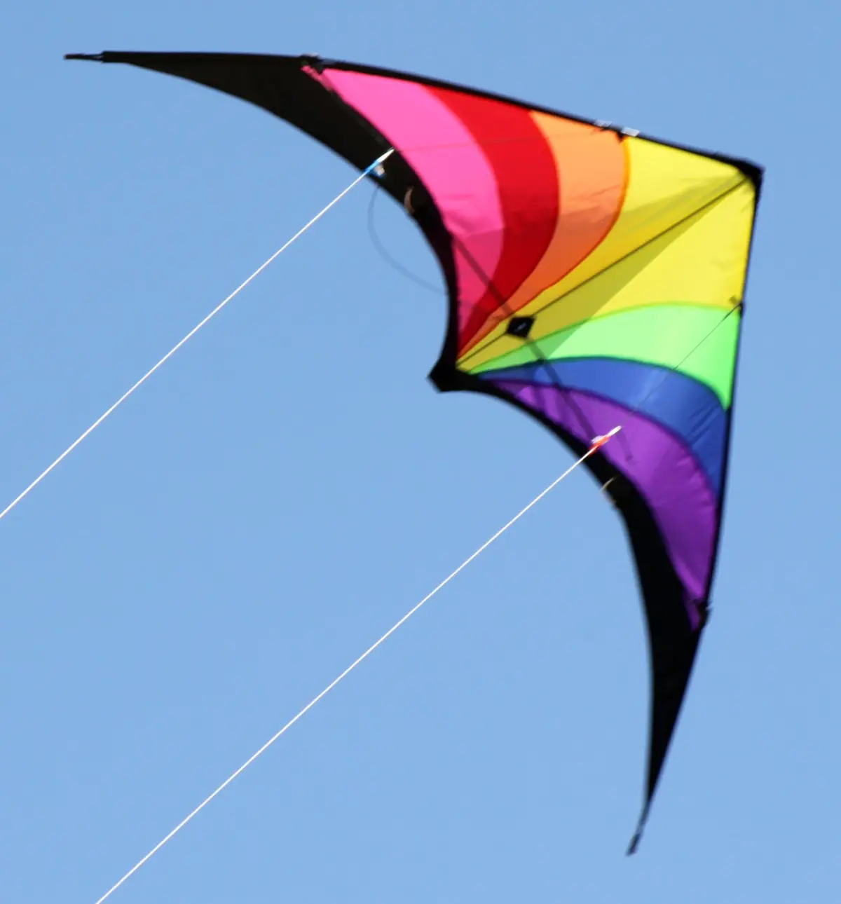 Windspeed Prism Sports Dual Control Kite - Ws7513 1