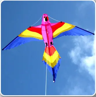 Windspeed Lorikeet Single Line Kite - Ws883 1
