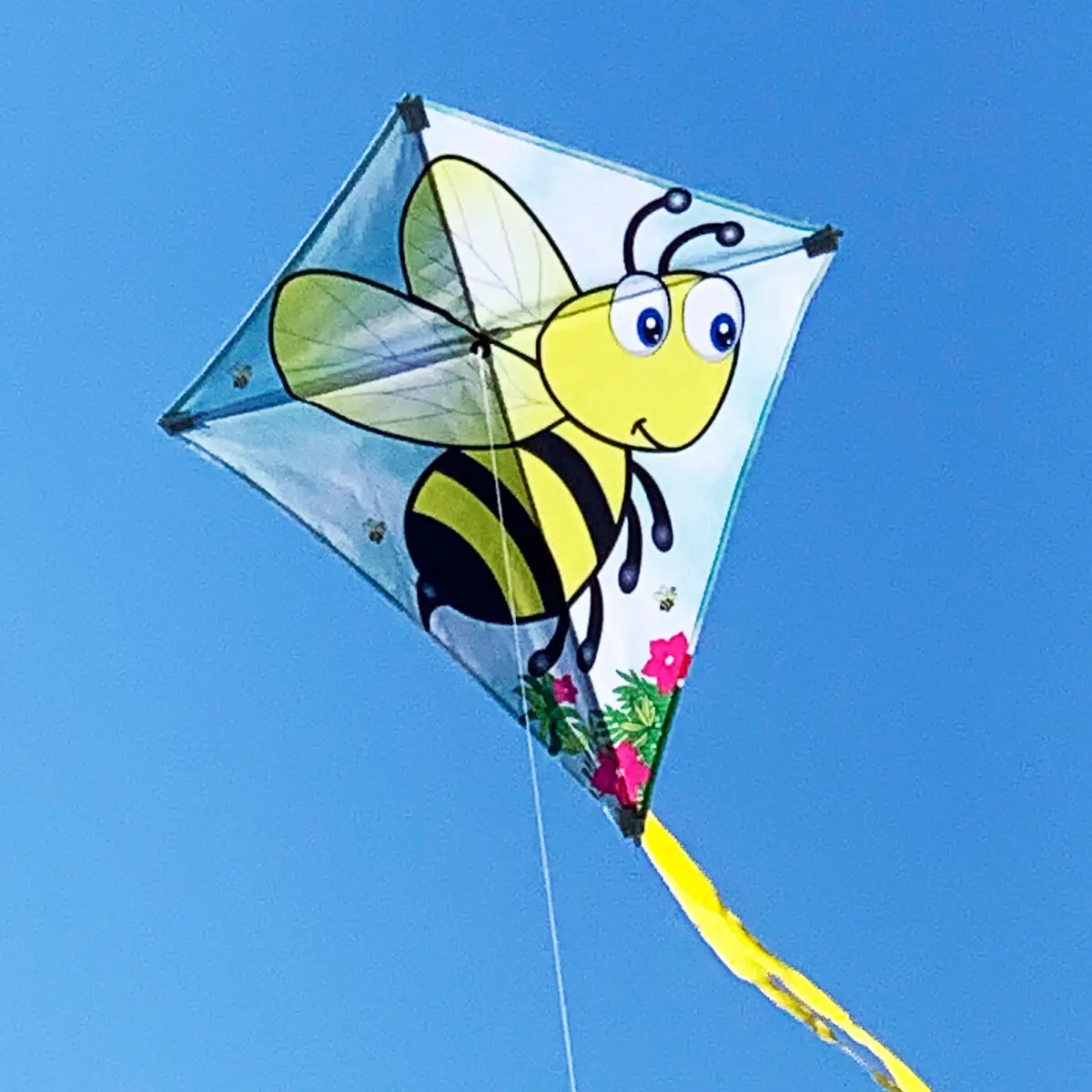 Windspeed Bumble Bee Single Line Kite - Ws884 1