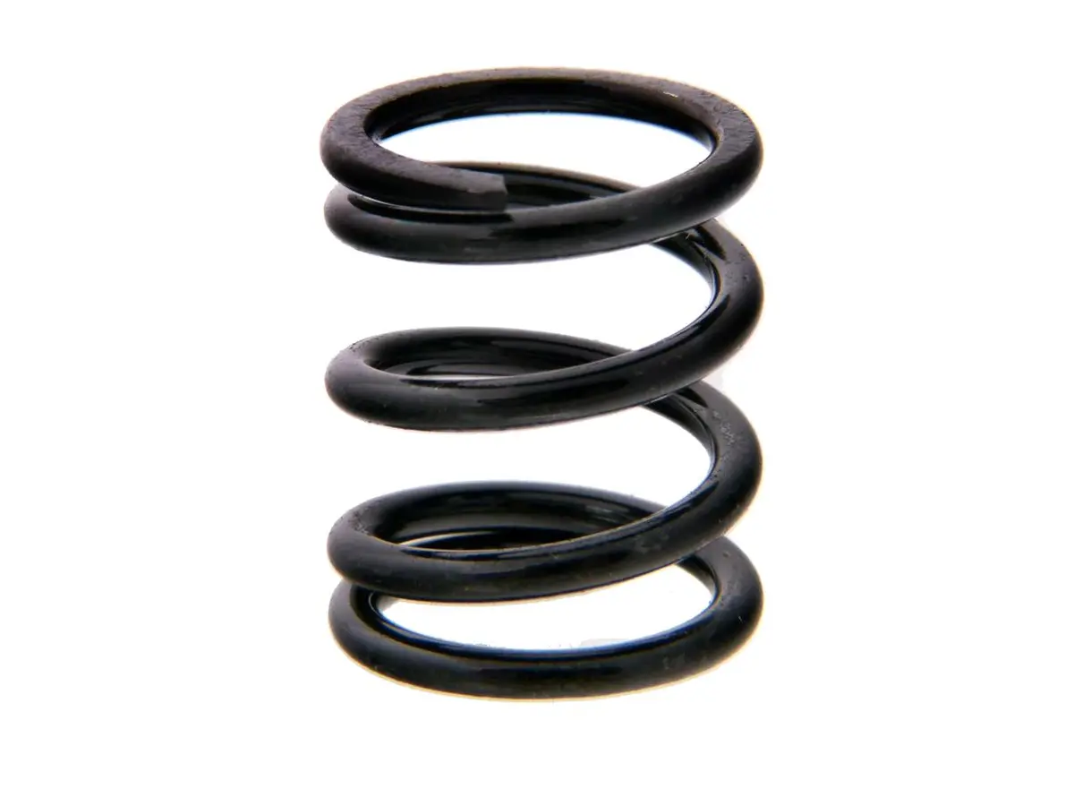 Mbx8 Servo Saver Spring (A) 1