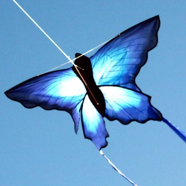 Windspeed Blue Ulysses Butterfly Single Line Kite - Ws7160 1