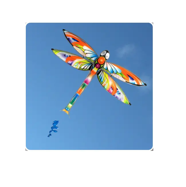 Windspeed Dragonfly Single Line Kite - Ws864 1